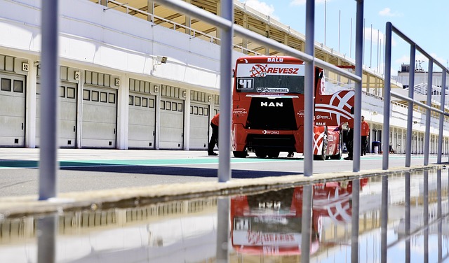 的生动课题 的生动课题