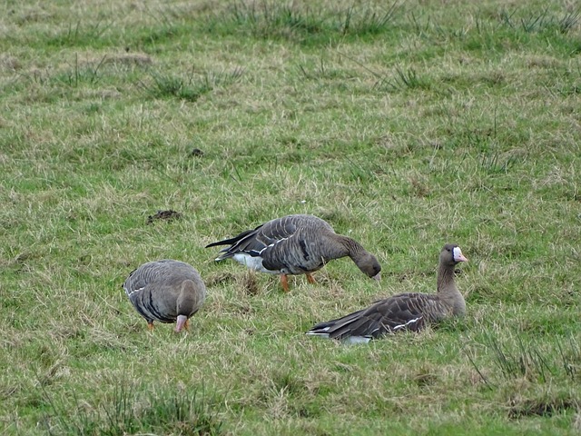以保持财务 以保持财务