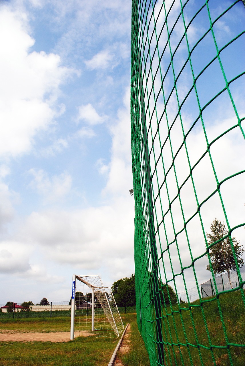 他在日美两 他在日美两